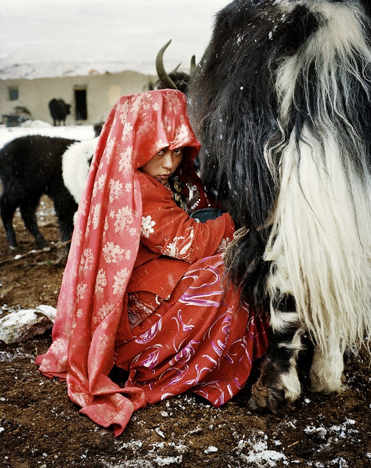 Kirgijska dziewczyna dojąca jaka; fot. Frédéric Lagrange